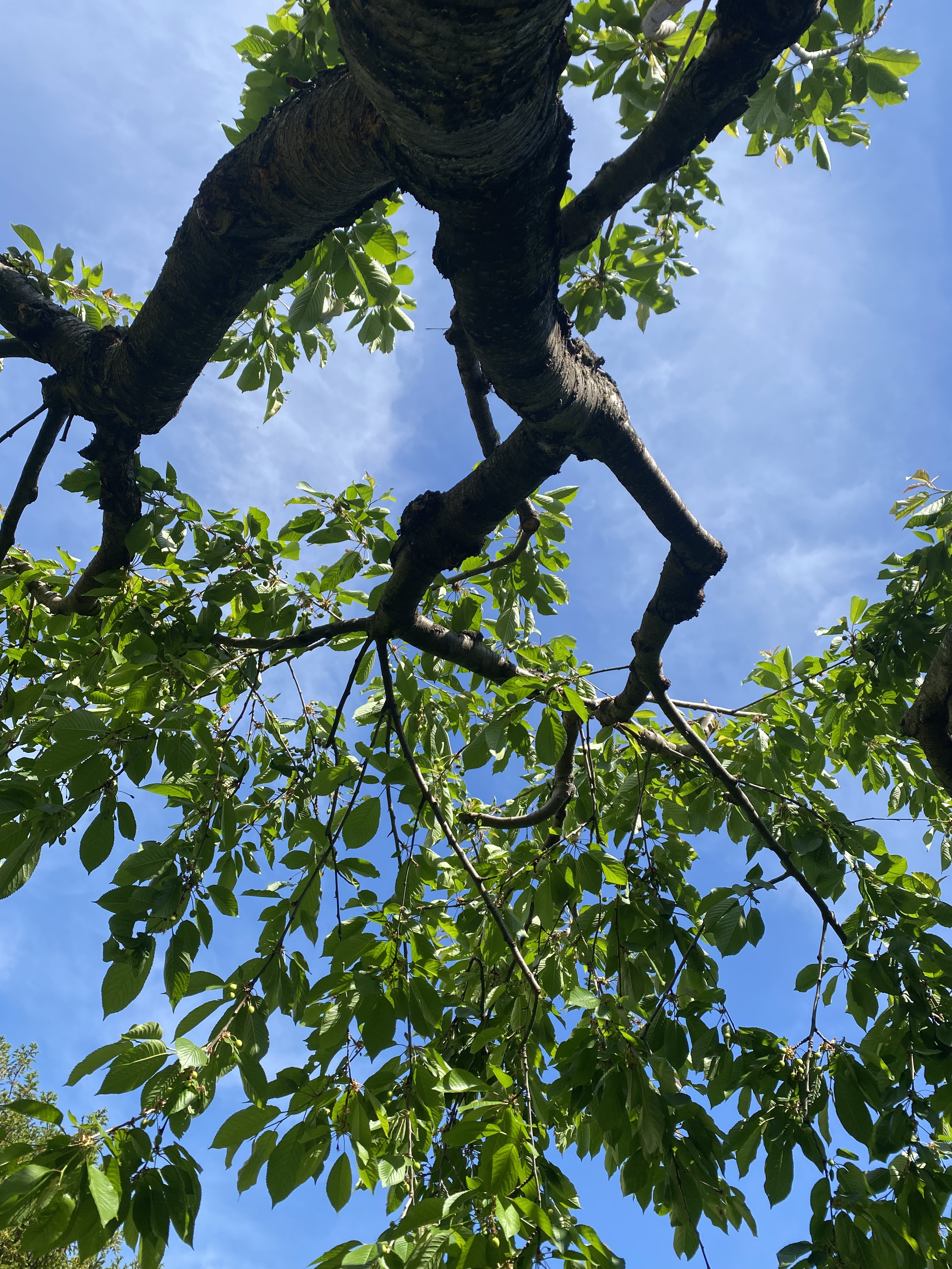 F47A20E3-64B0-4C71-B914-50C86D463924