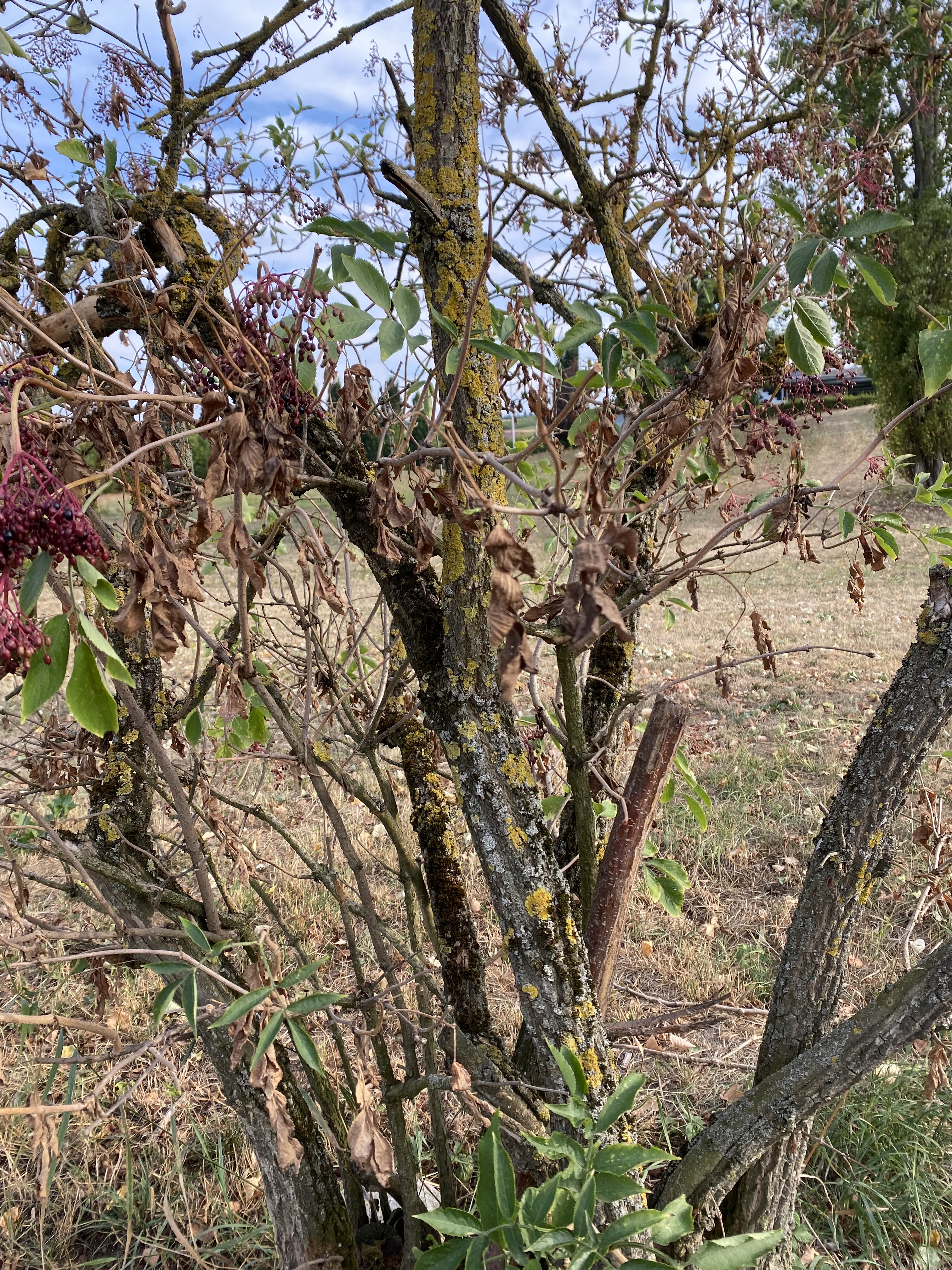 C45812EB-294B-4140-91F9-43F5383C42F7