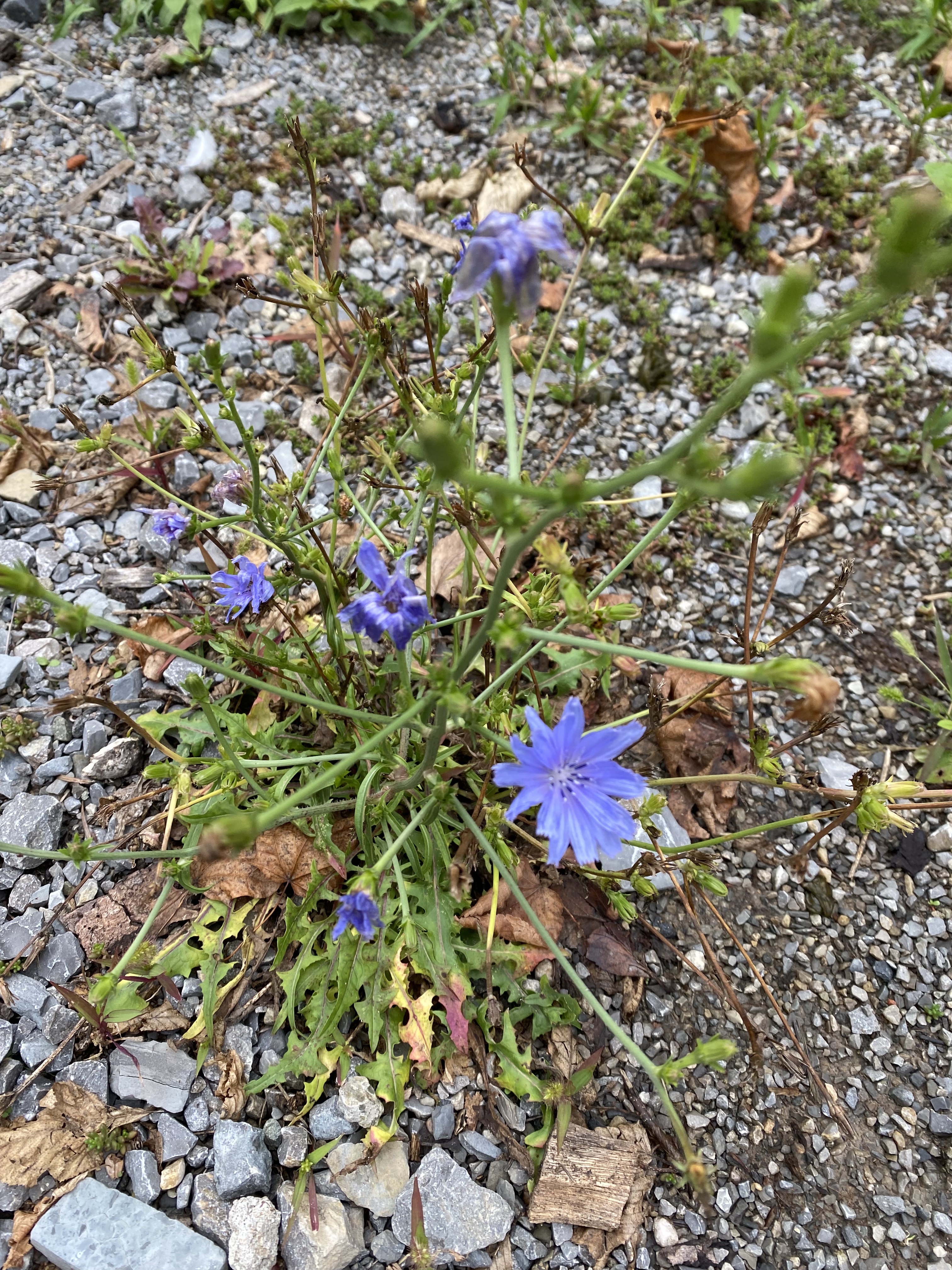 40236B1F-1FBB-4D31-9FA0-57AA2E45927C