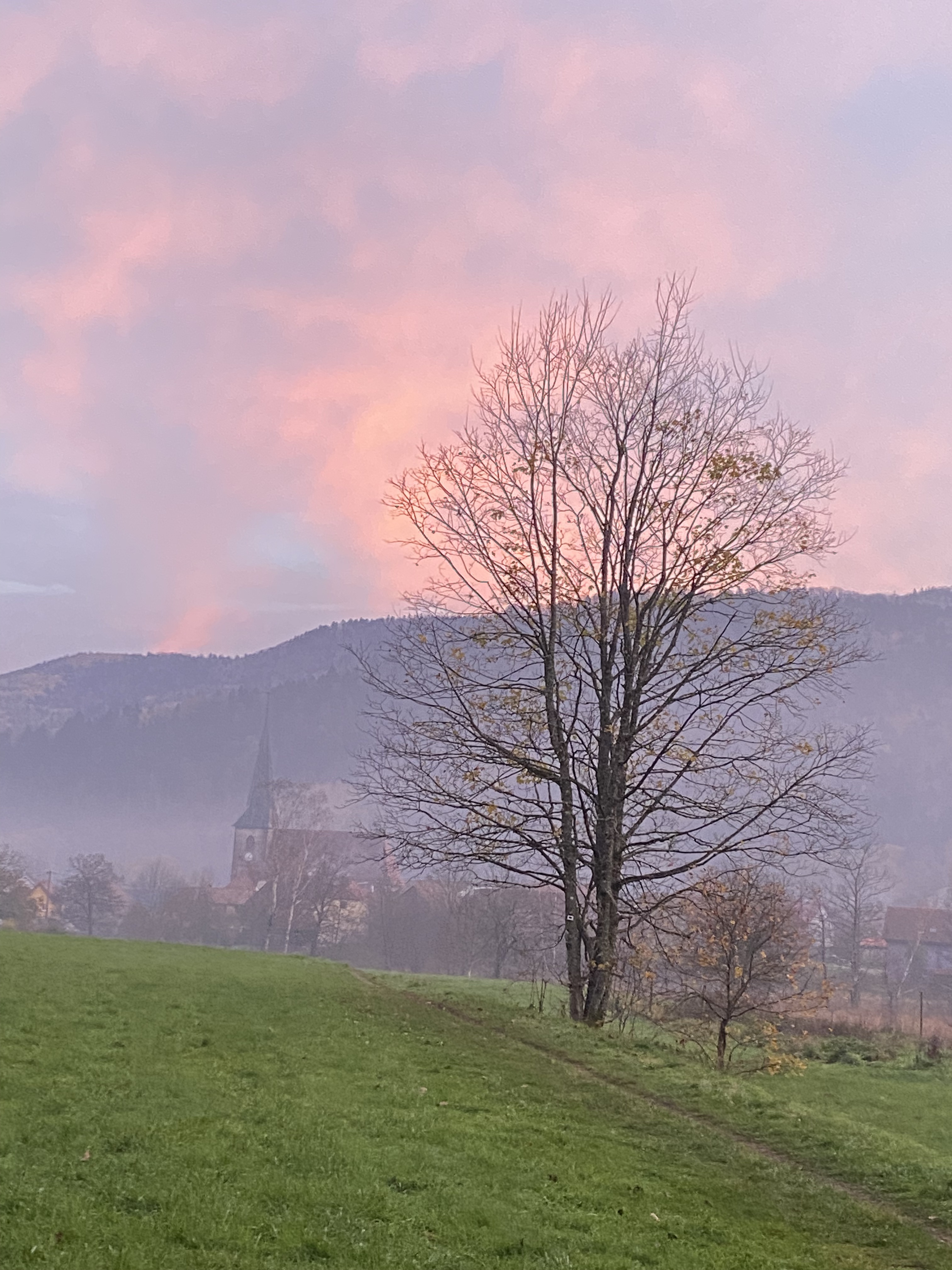 D291840E-A4FF-4012-9134-6834A219ED0D