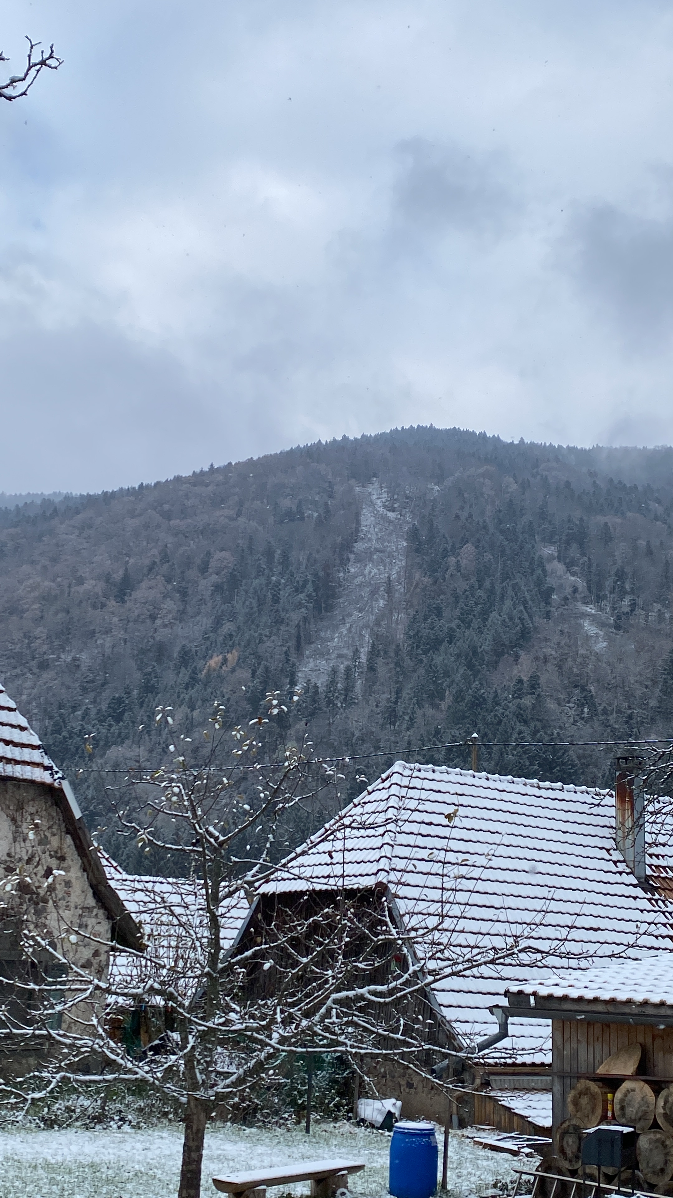 9FBFB7BE-3F20-4AD0-8D7D-E5E75C079B24