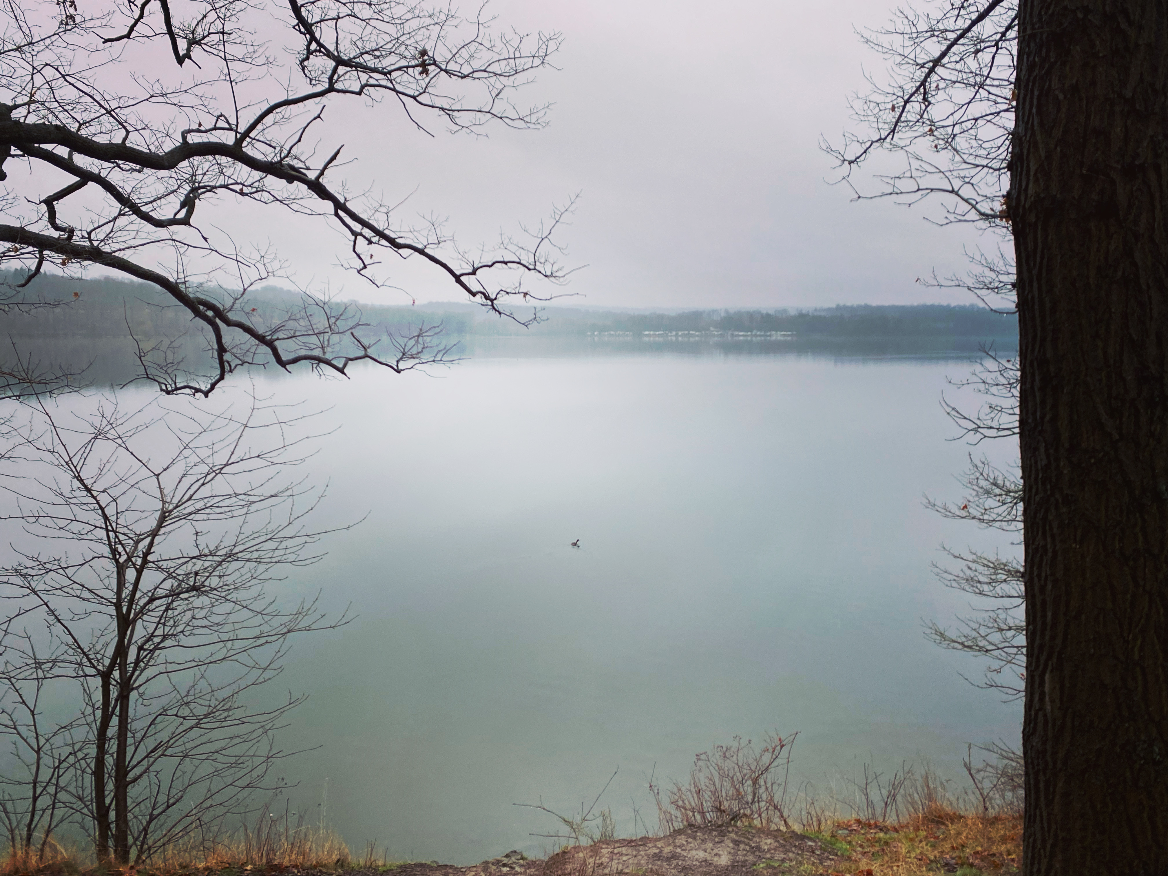 083597CE-9178-45FB-B3C9-B279269C0FC0