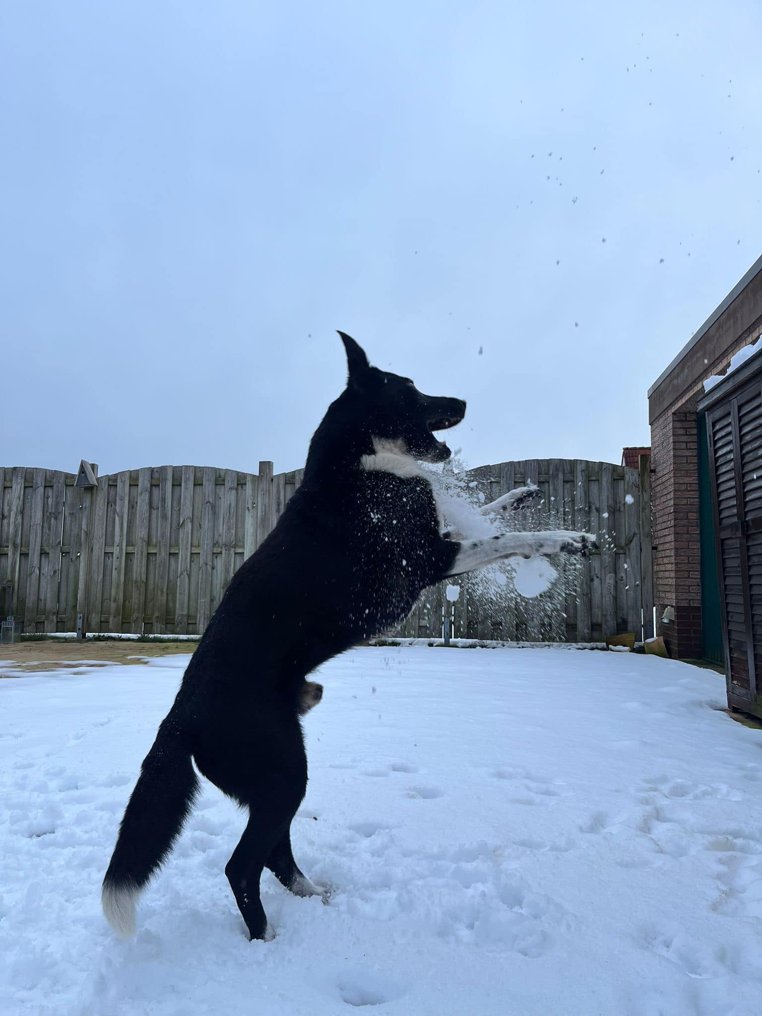 334993399_5894701453916778_5892826580167683143_n