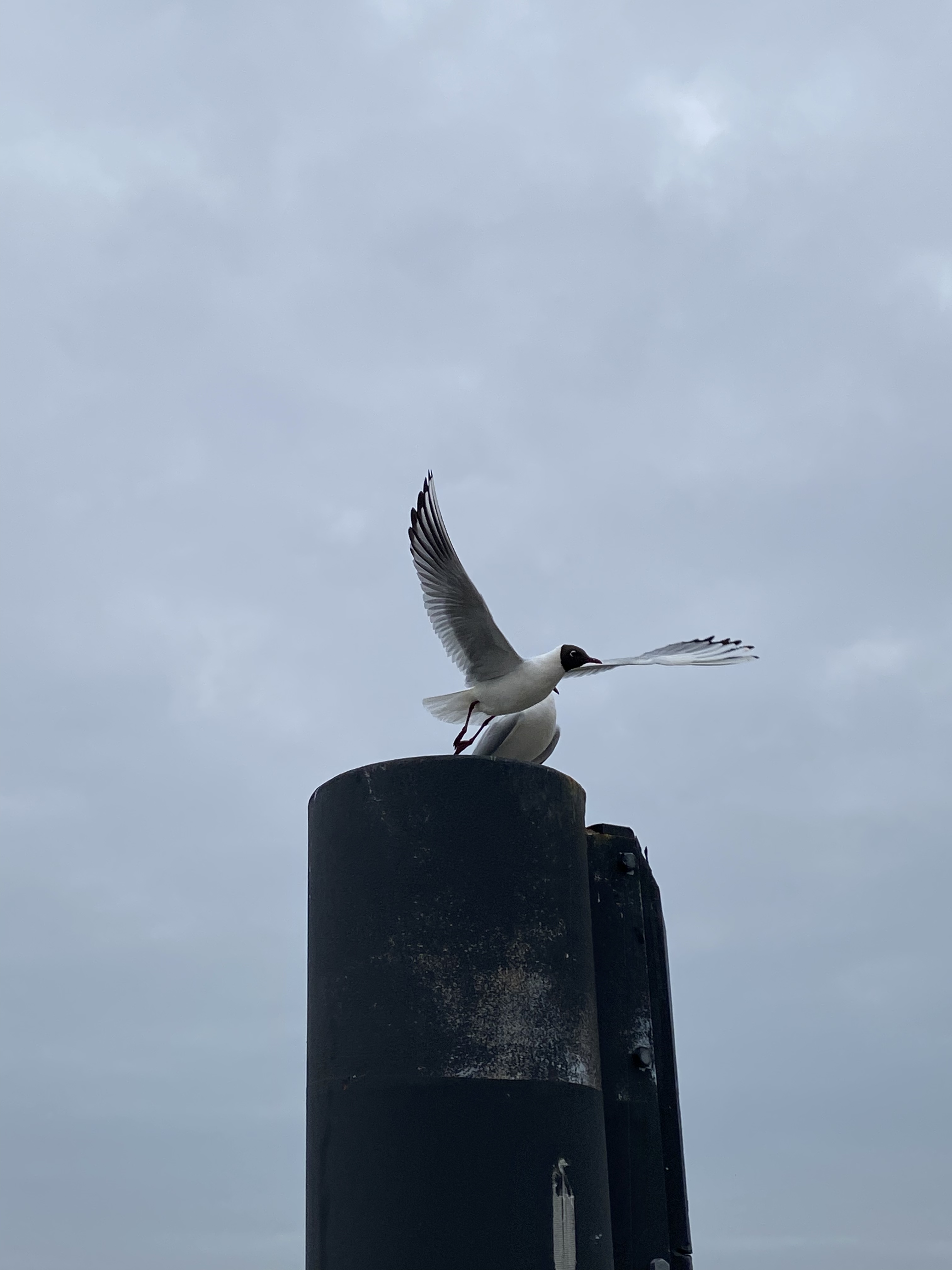 BB09D97F-BCE2-4454-A3DB-64711818C2B4