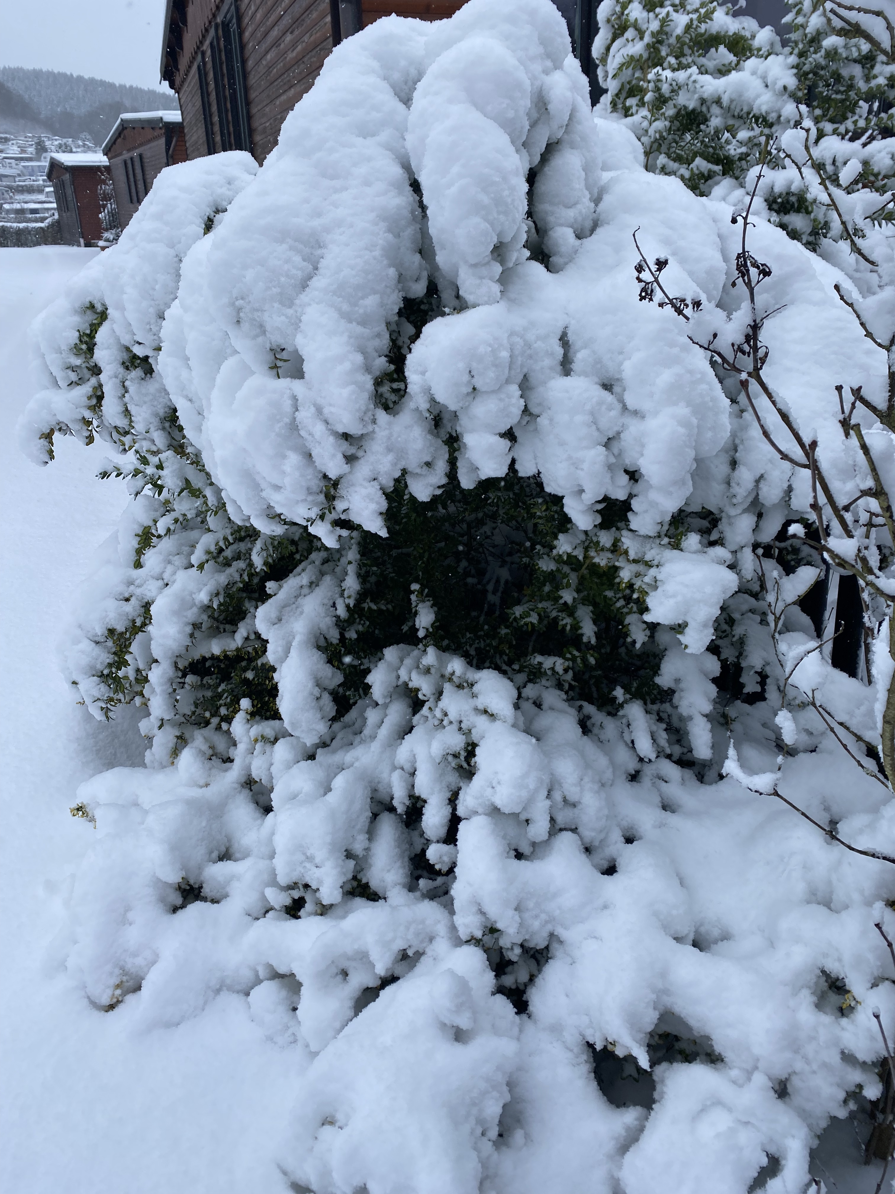 9CB9C0A1-5E4C-4E4E-AFEA-AEA072D62219