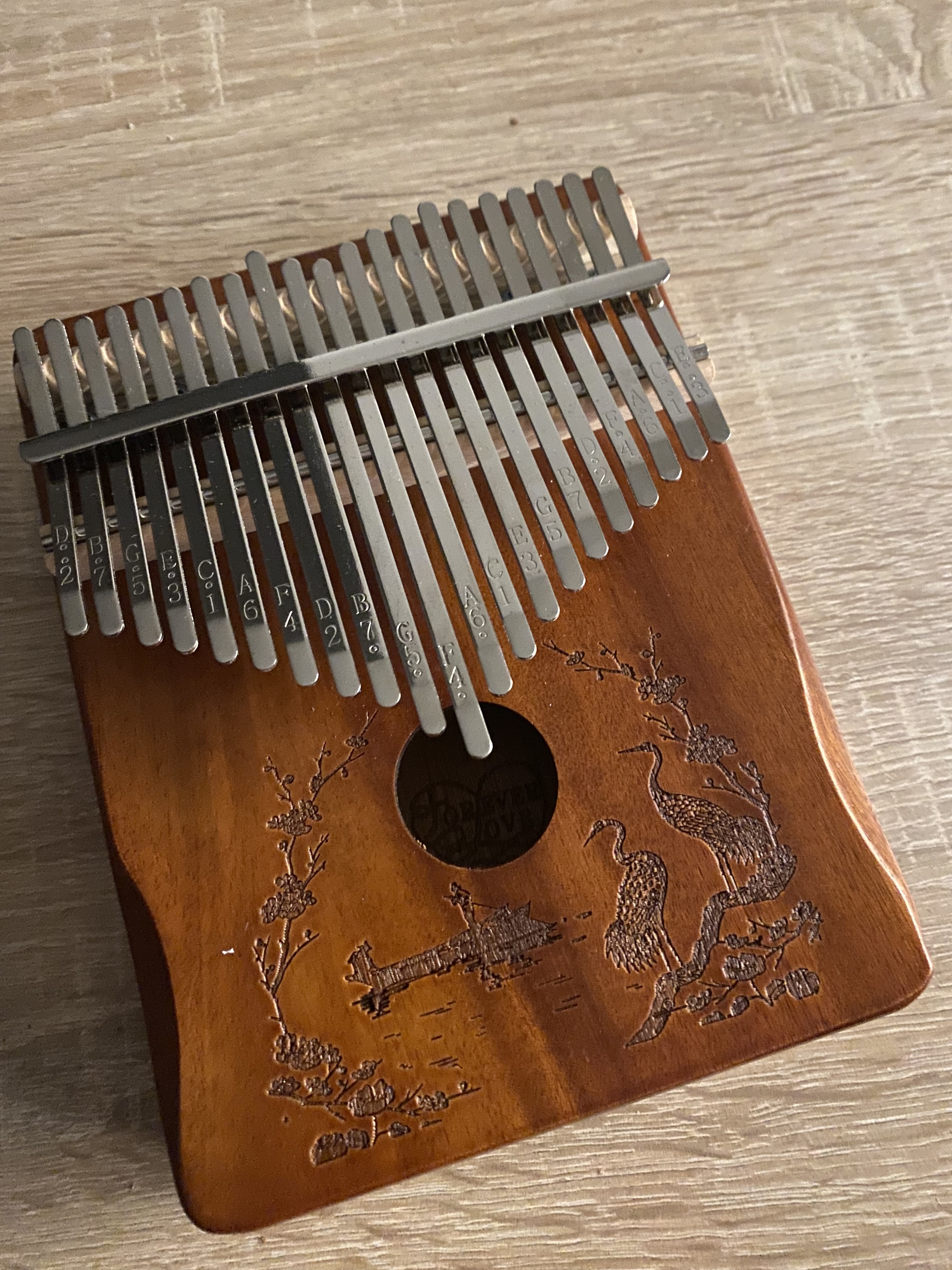 A0461C96-7E1B-4559-A5B2-299E6FC99DE0