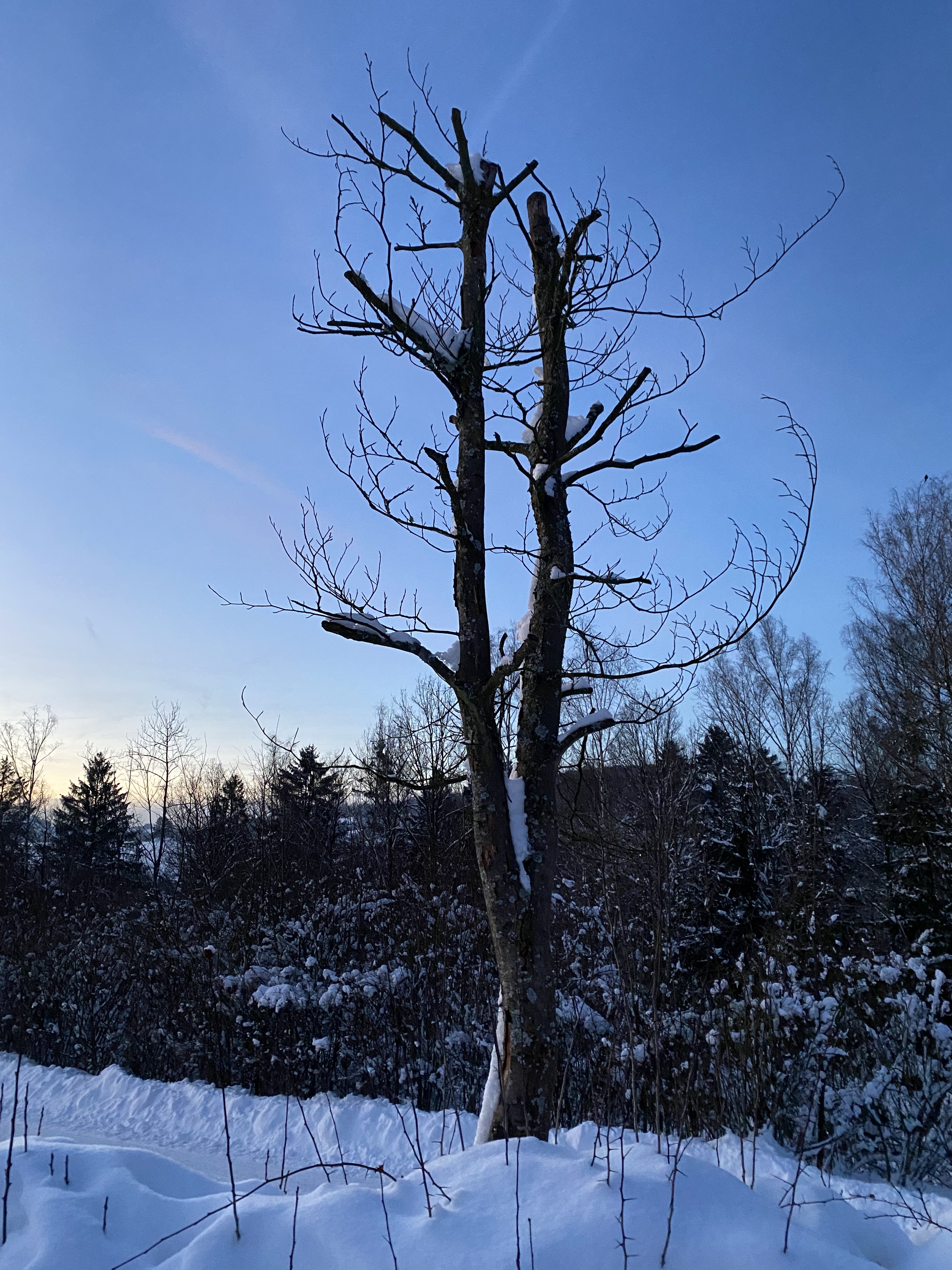 C7052DC4-9197-4149-BFE8-FE63CCD280A9