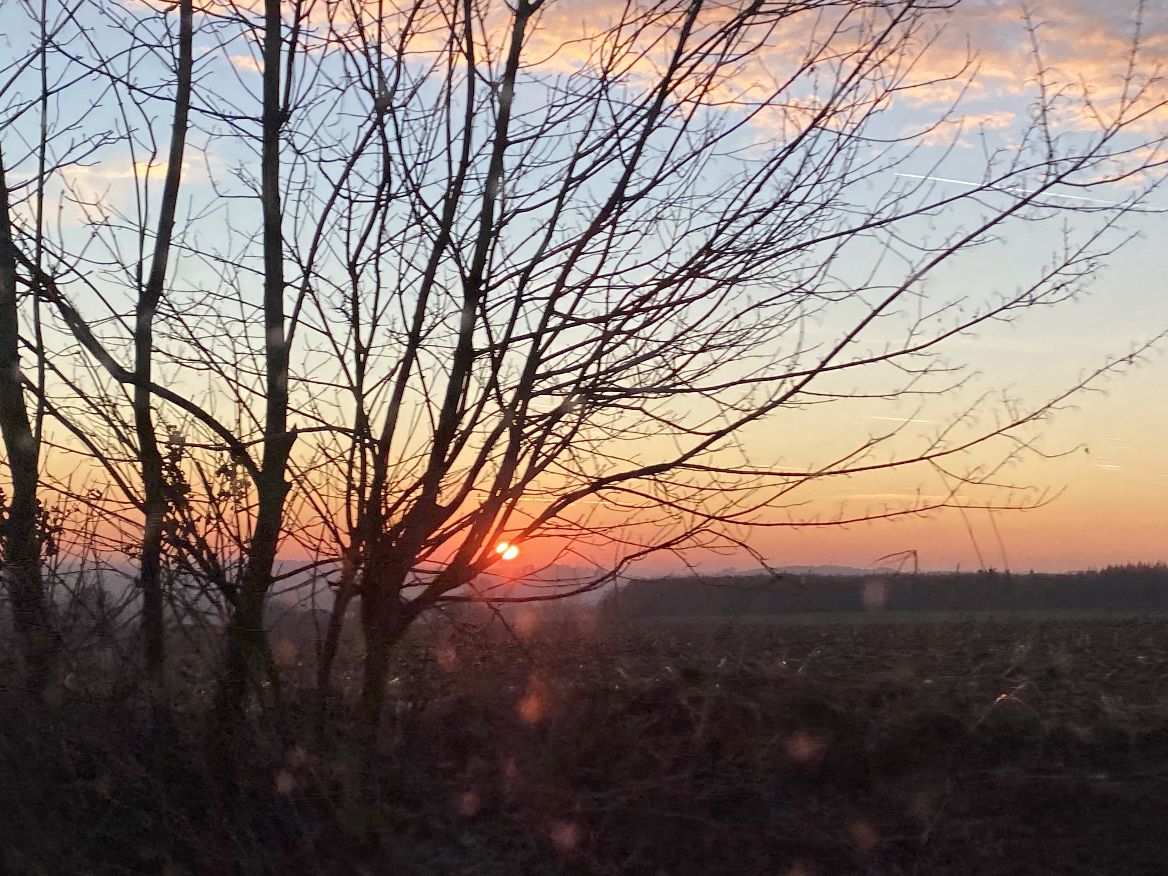 CE22D5C2-8210-4606-A16A-C59C0DB3B10A