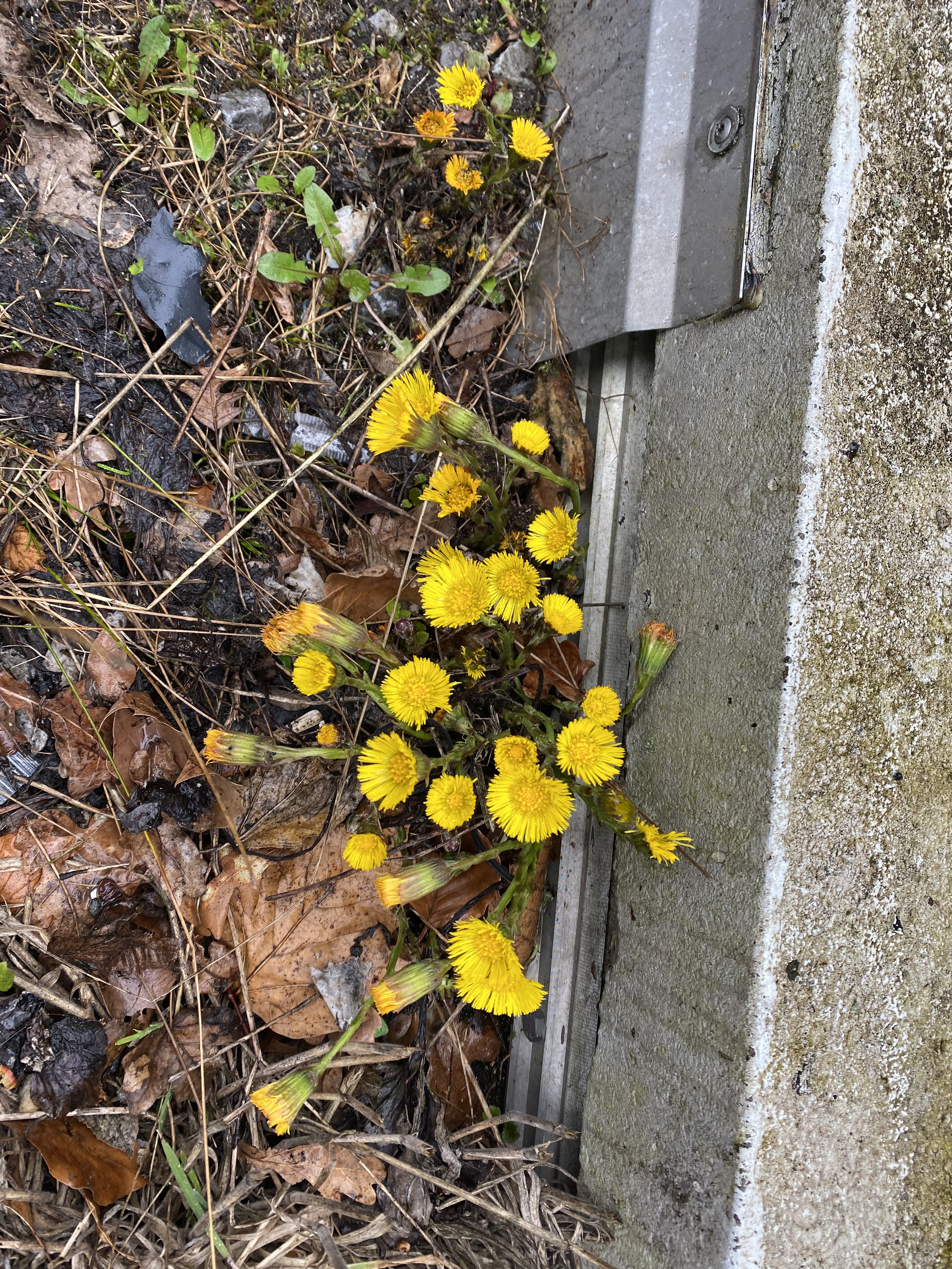 4E74B5DA-1CA6-4DD1-A626-FCB7D1DB63C4