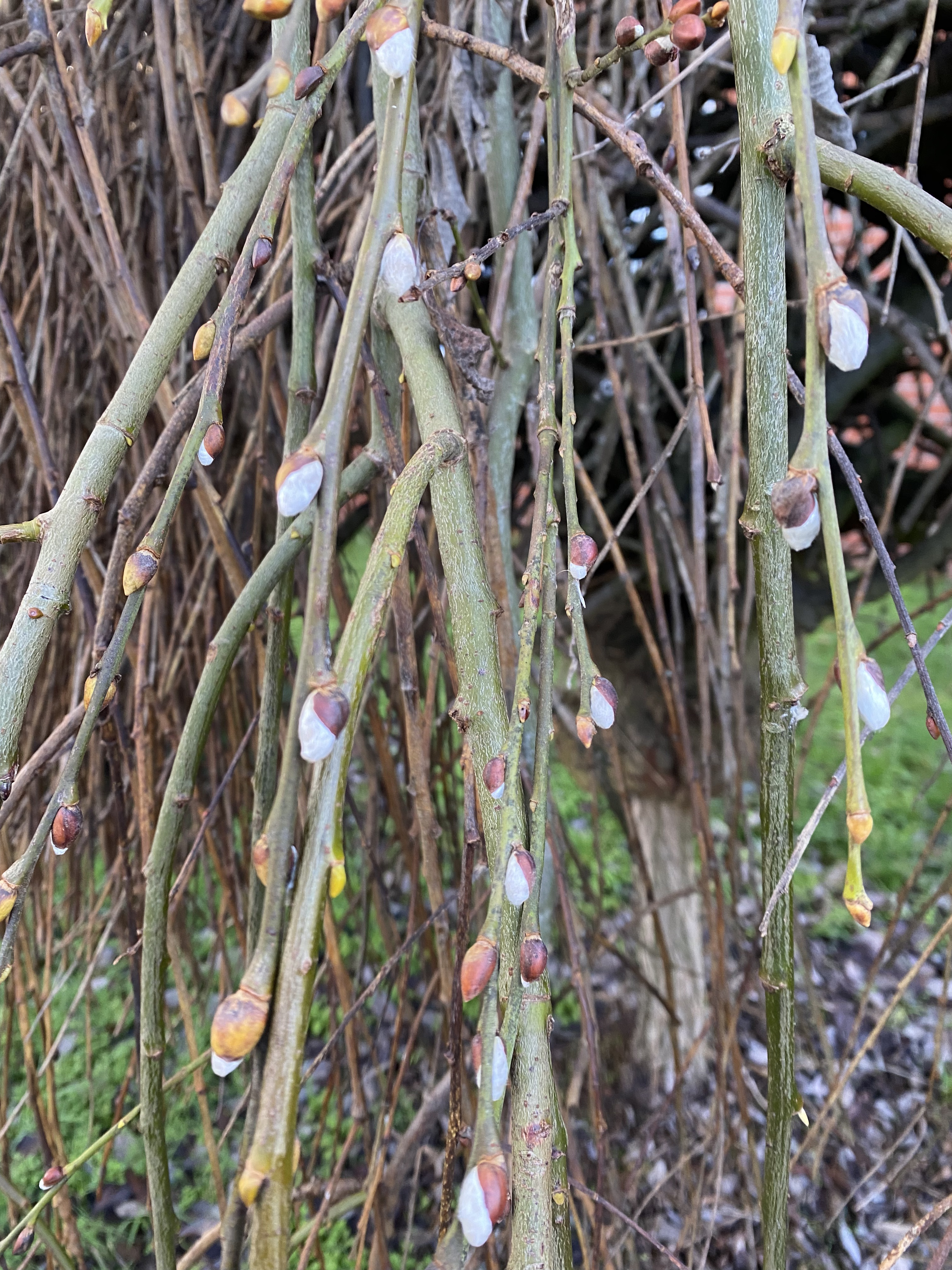 83C6F7EF-FFCD-4724-8DD9-DB52CF414635