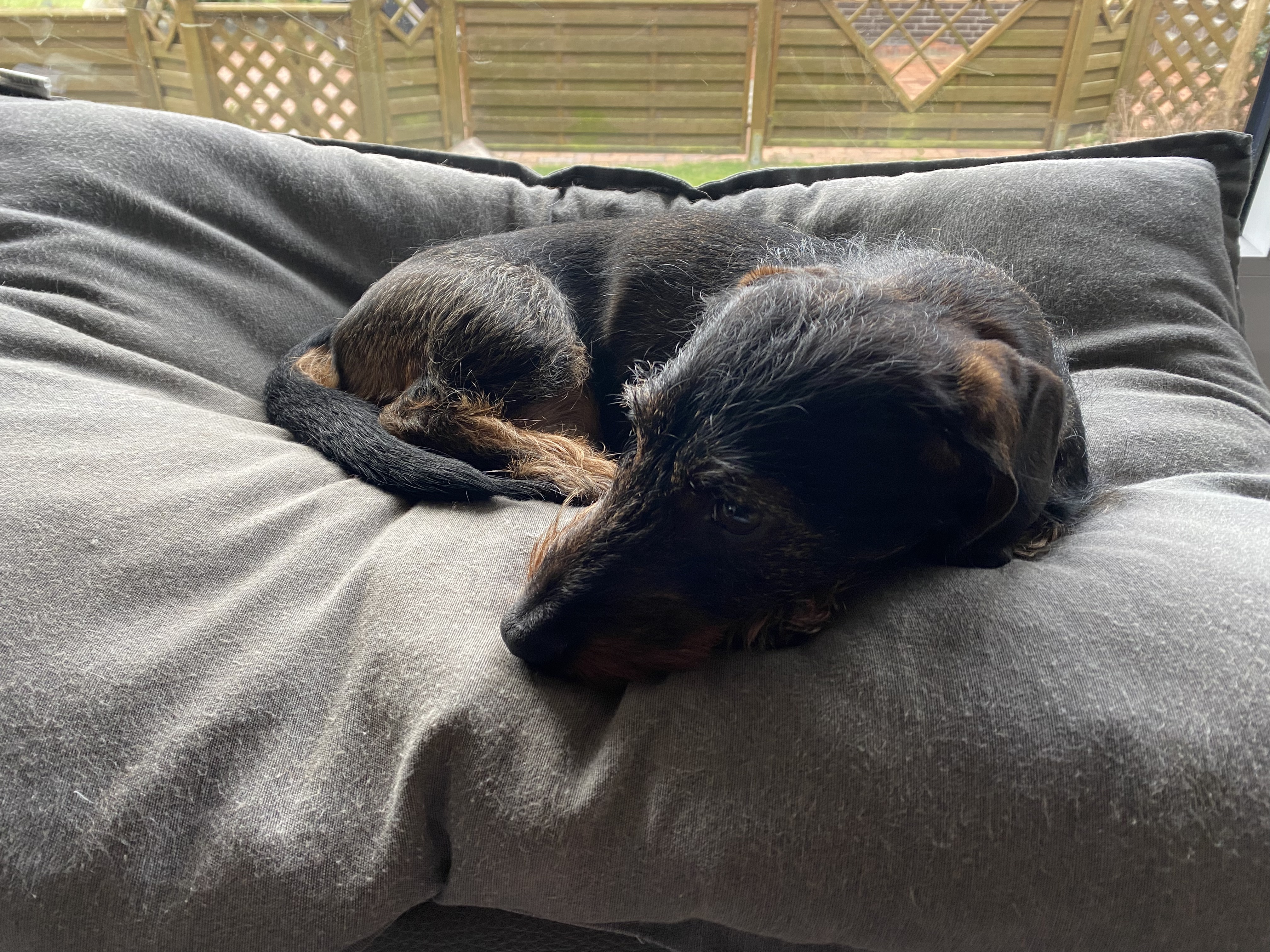 CAFA5E1B-AB61-4C3B-B957-27458B59A8BF