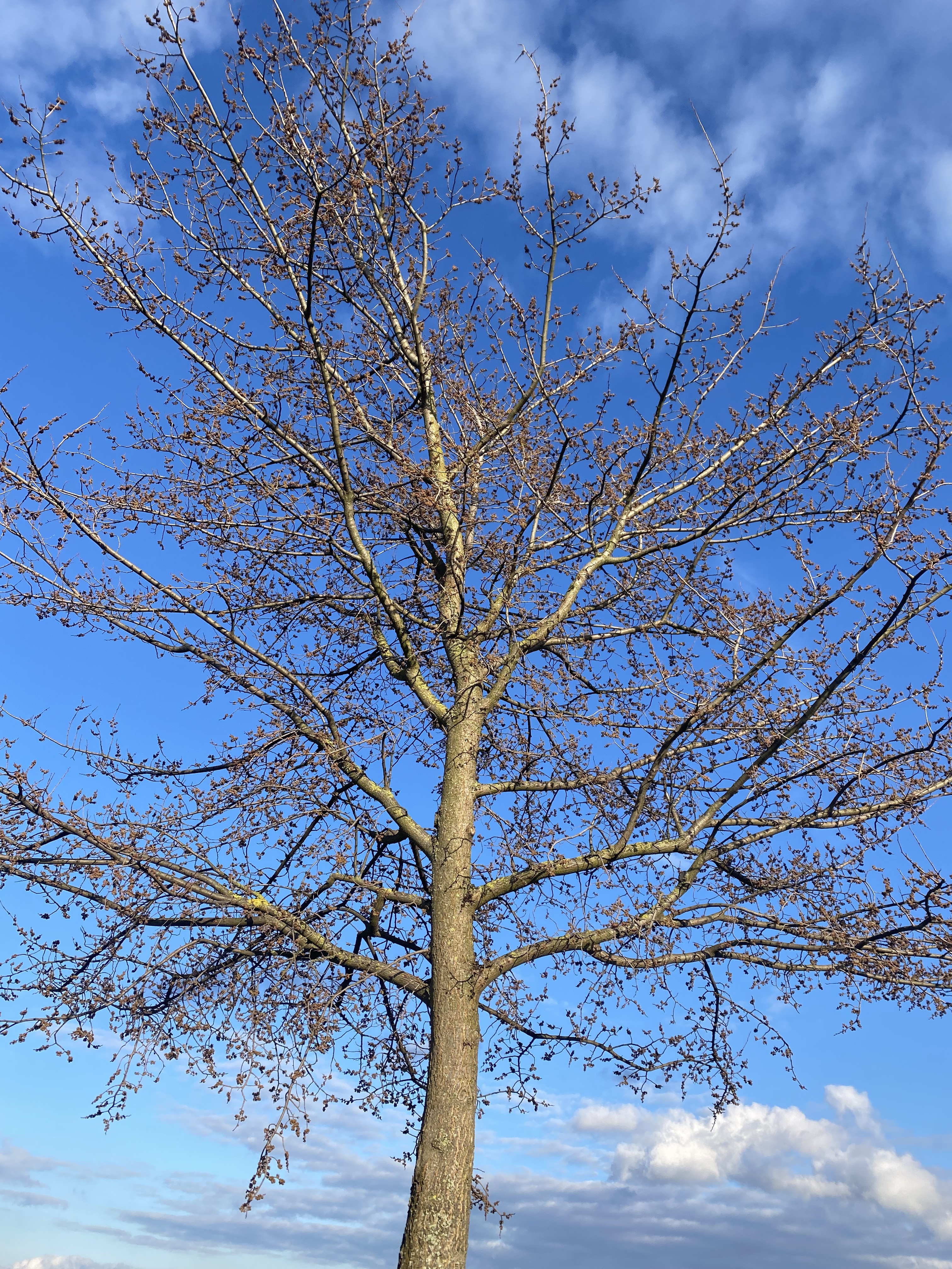 32B0E44B-930D-41C1-97C2-6C52B0B2A129