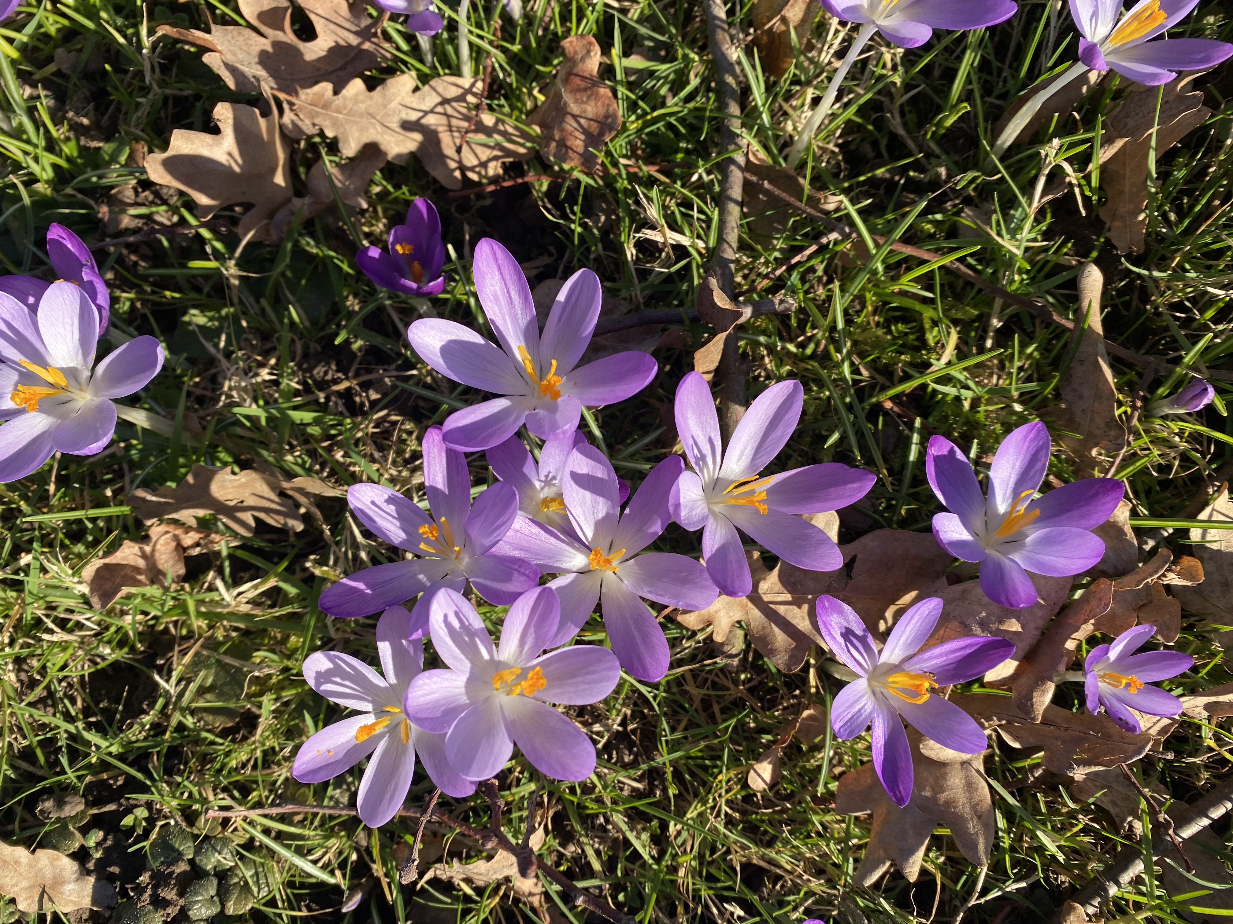 7B4DD3C6-67BE-4610-97AC-A78959E28C3D