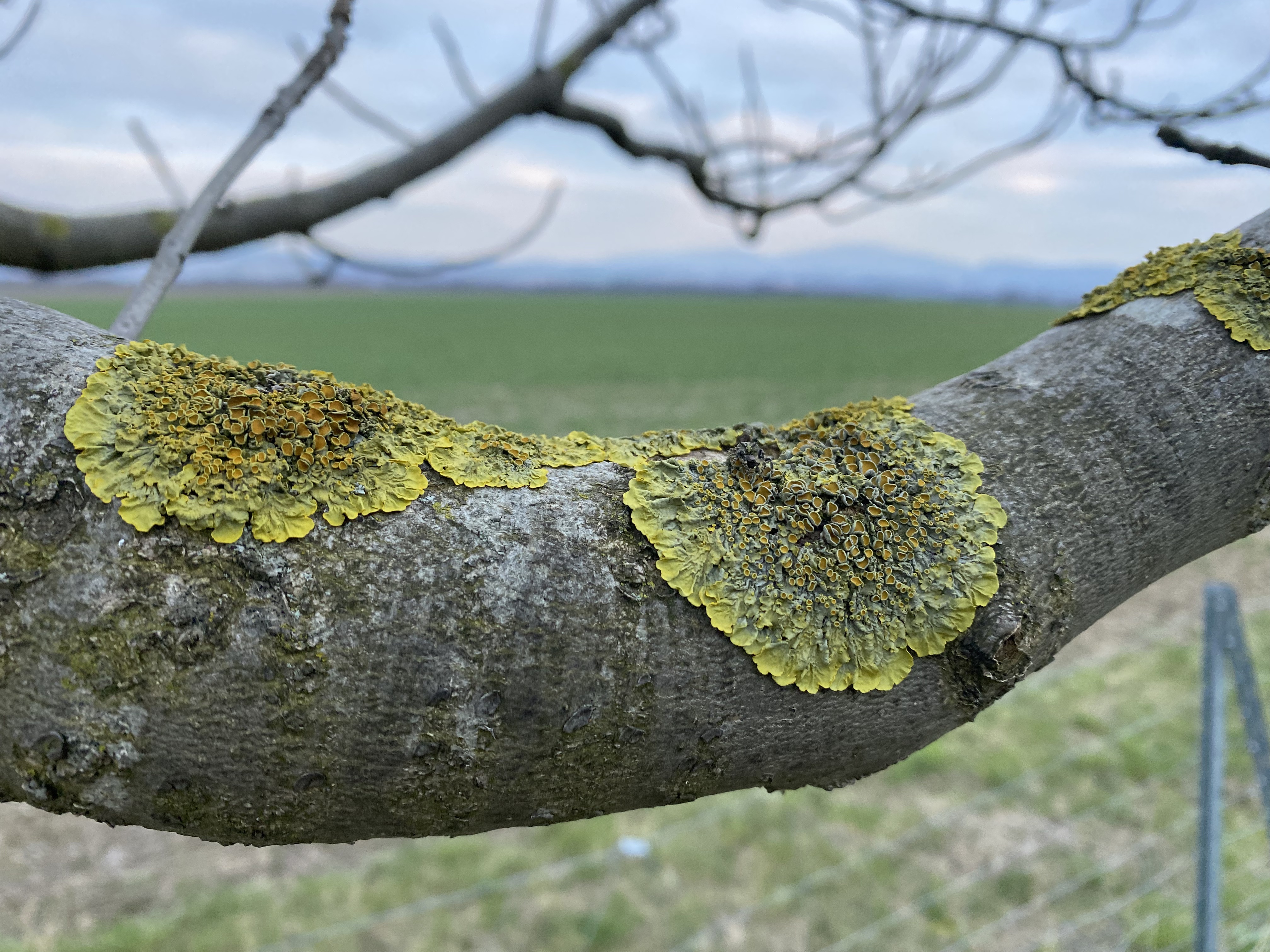 47933453-AC30-4098-8B77-A87B0A09CF4C