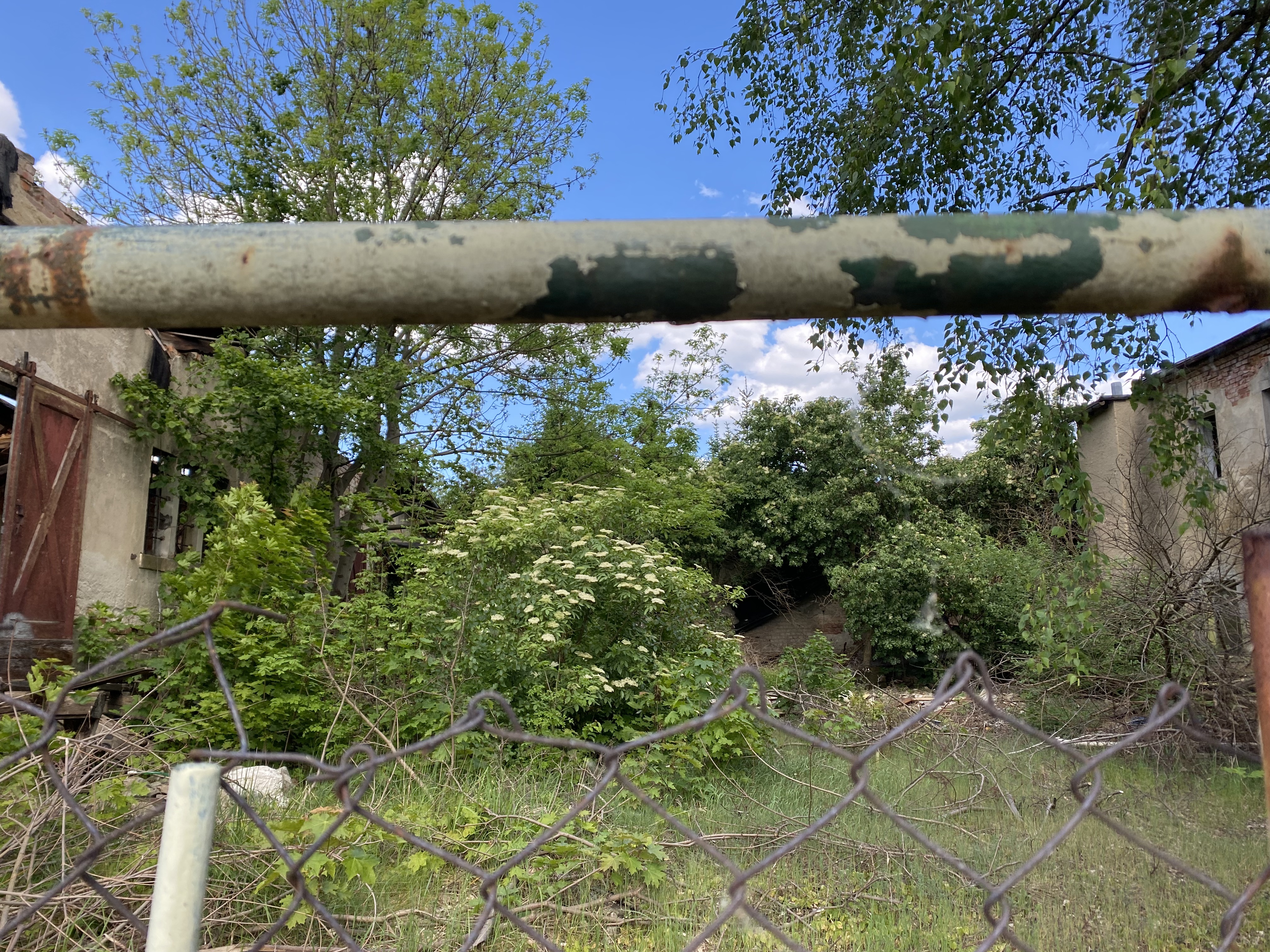 2E6668AD-D90E-4934-8715-2BC26F6C8583