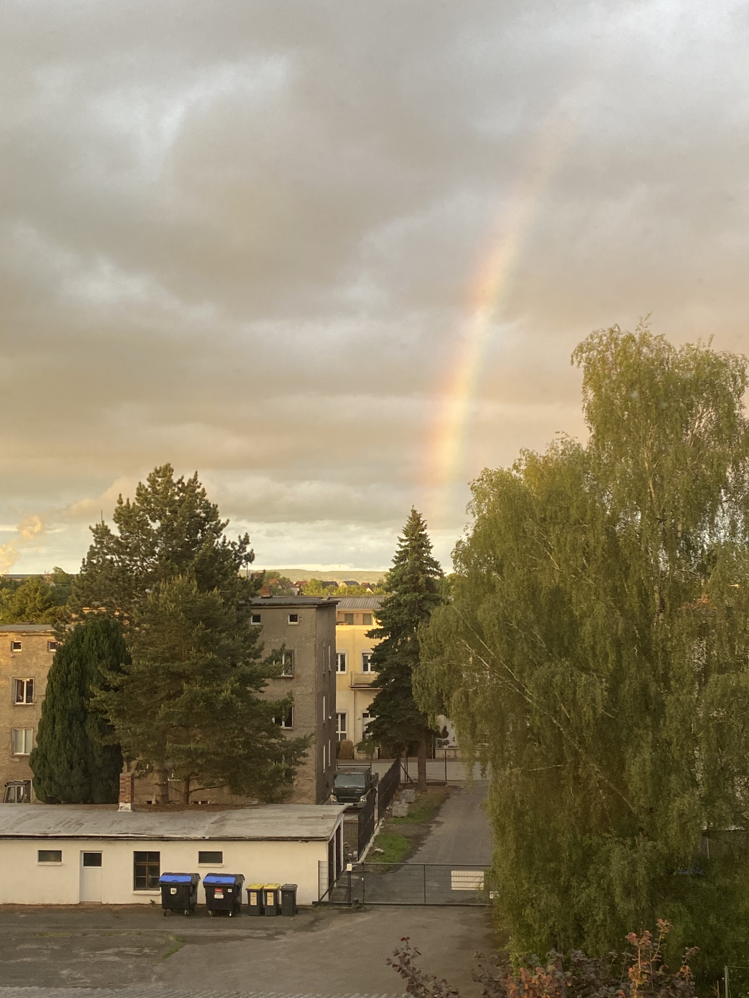 89A5A446-C007-4973-9A5A-AC6322028E1F