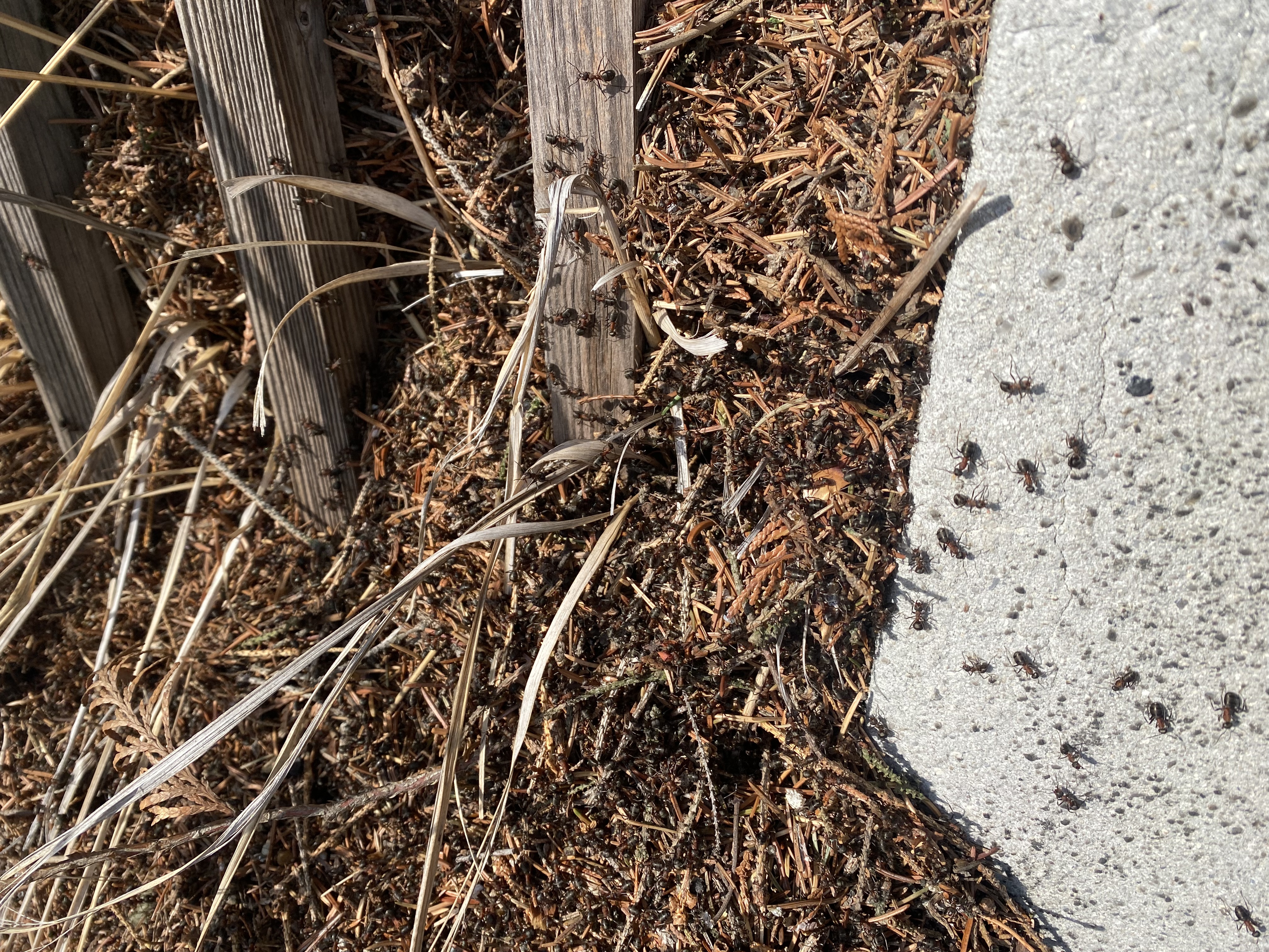 9721ADBC-21BB-4E78-AABB-D29738722BEA