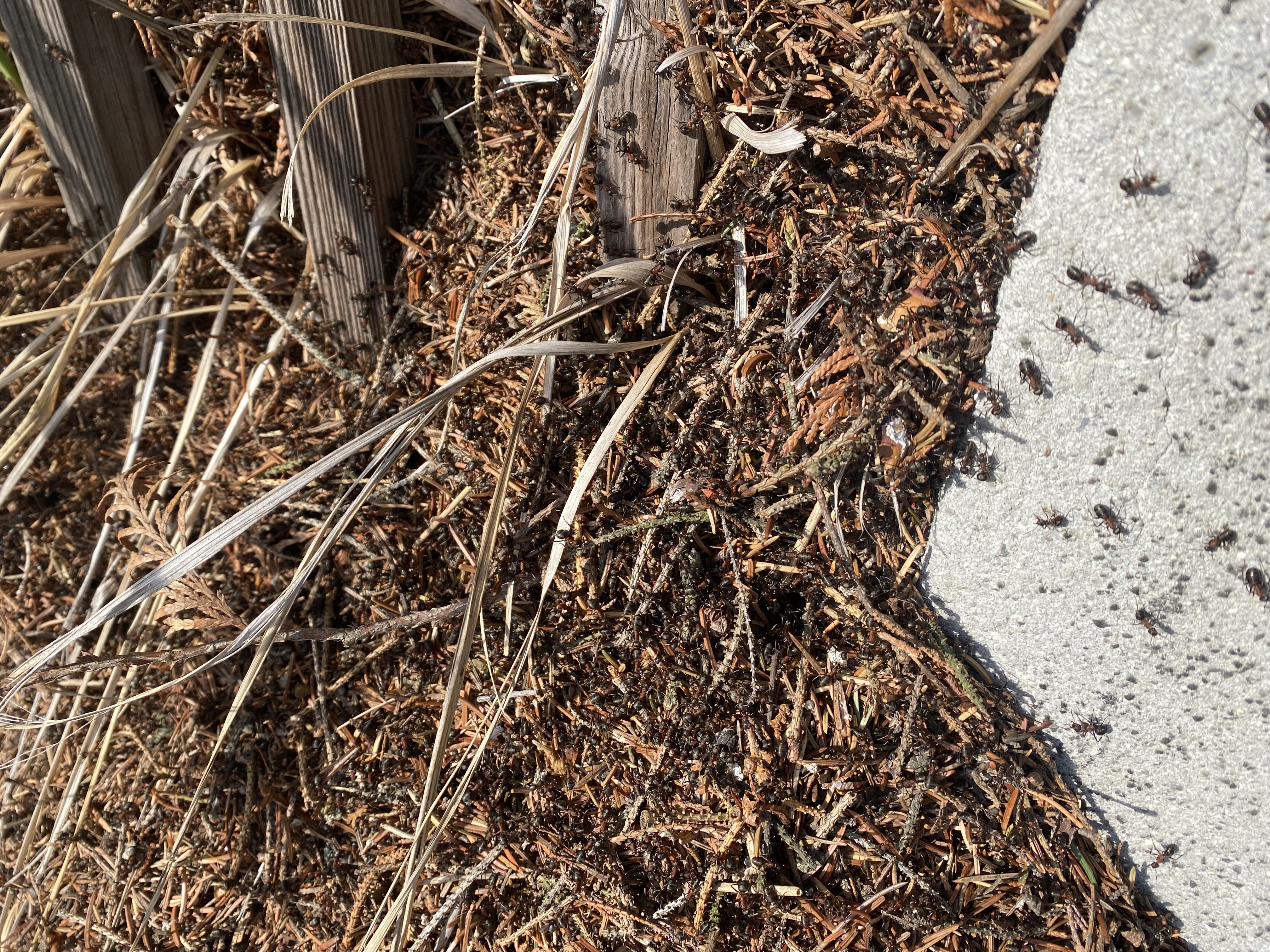 32AF4CC5-83D2-4E85-8608-8B46F753D7CB