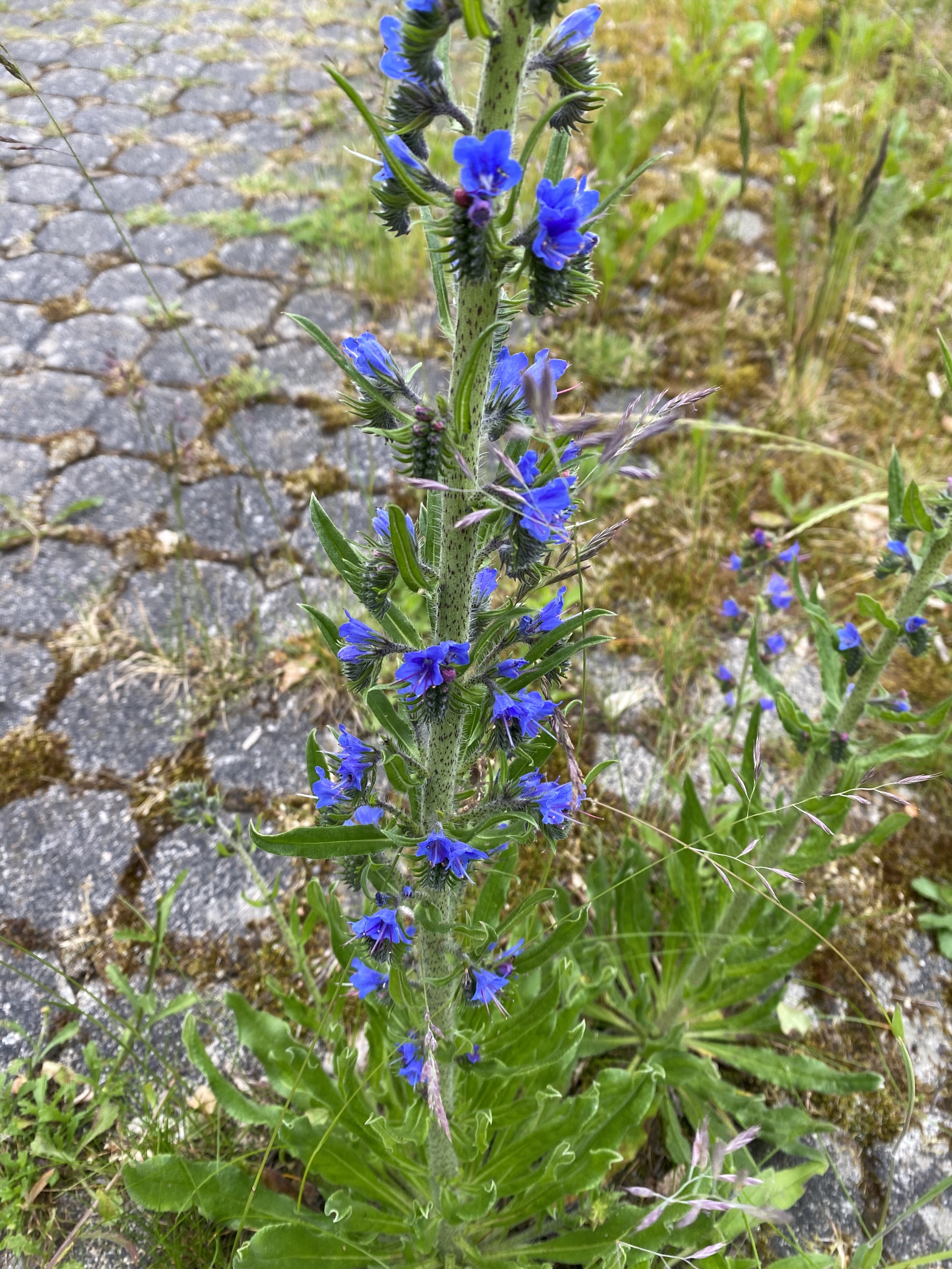 F4B9DCD4-EAF4-49CF-95DC-C75BD2022E6A