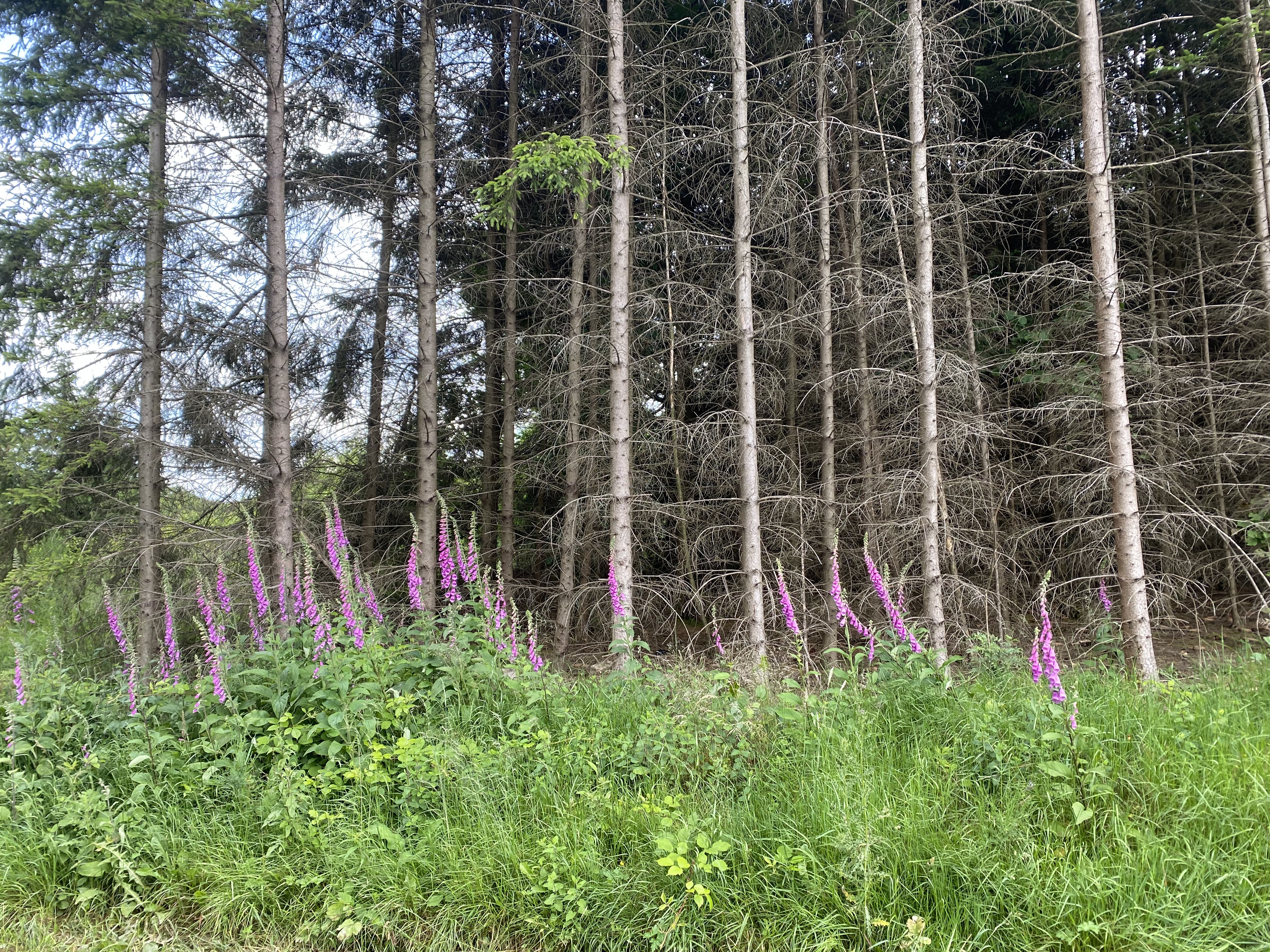 F7EA2E2D-D018-43B3-ACE5-2EE8E88B9165