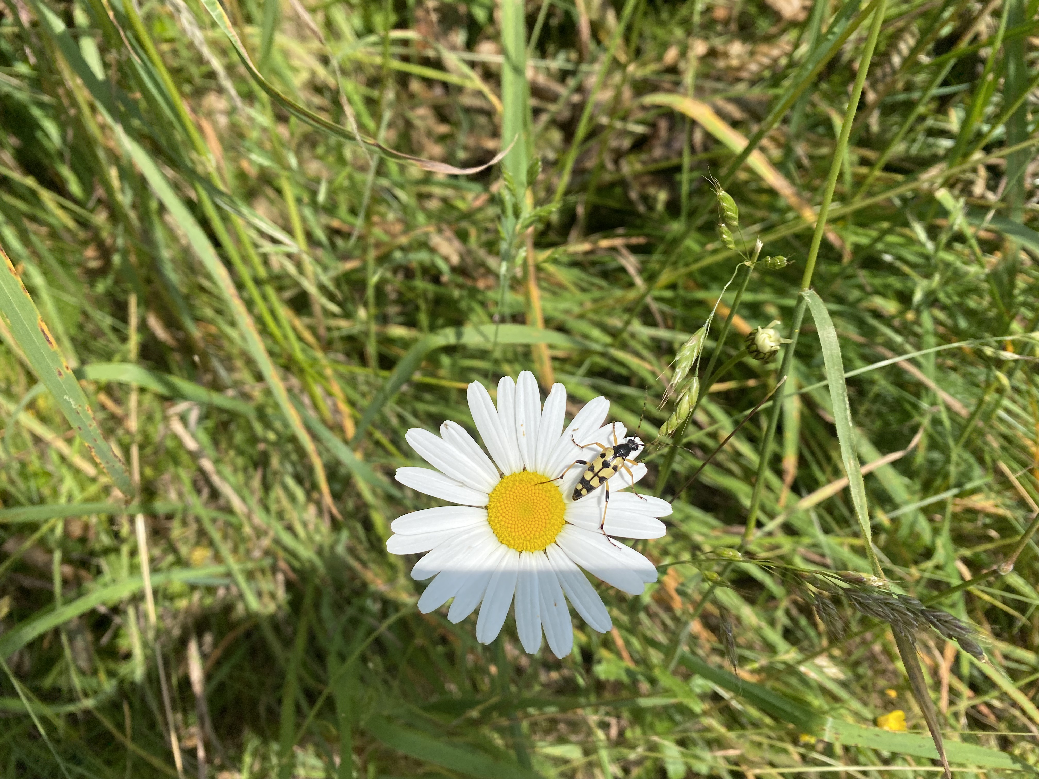 3FB3C568-663E-47BE-9DAB-19FBD30B8E42