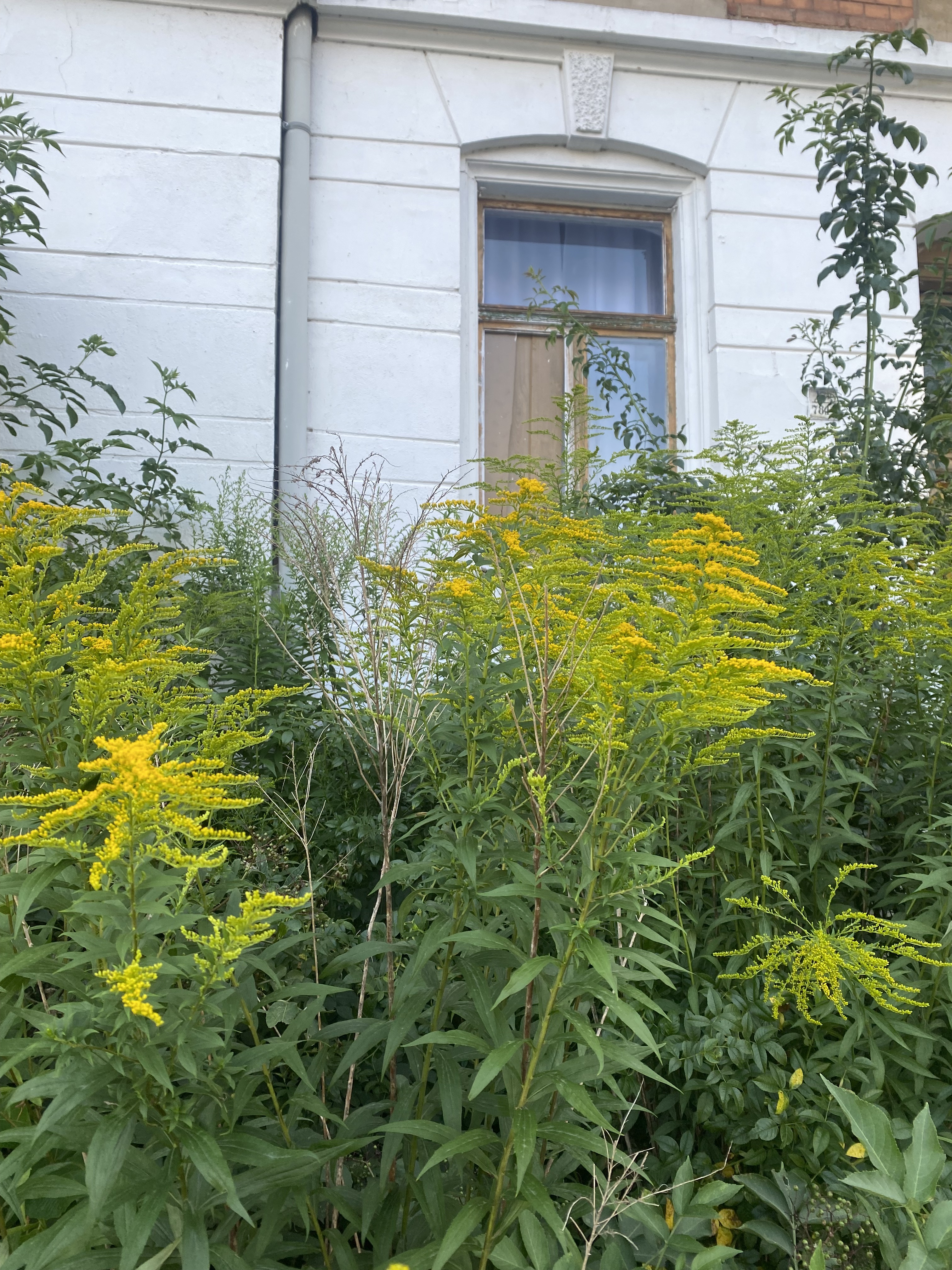 791698D8-74F5-40CF-8900-6A43DF563D60