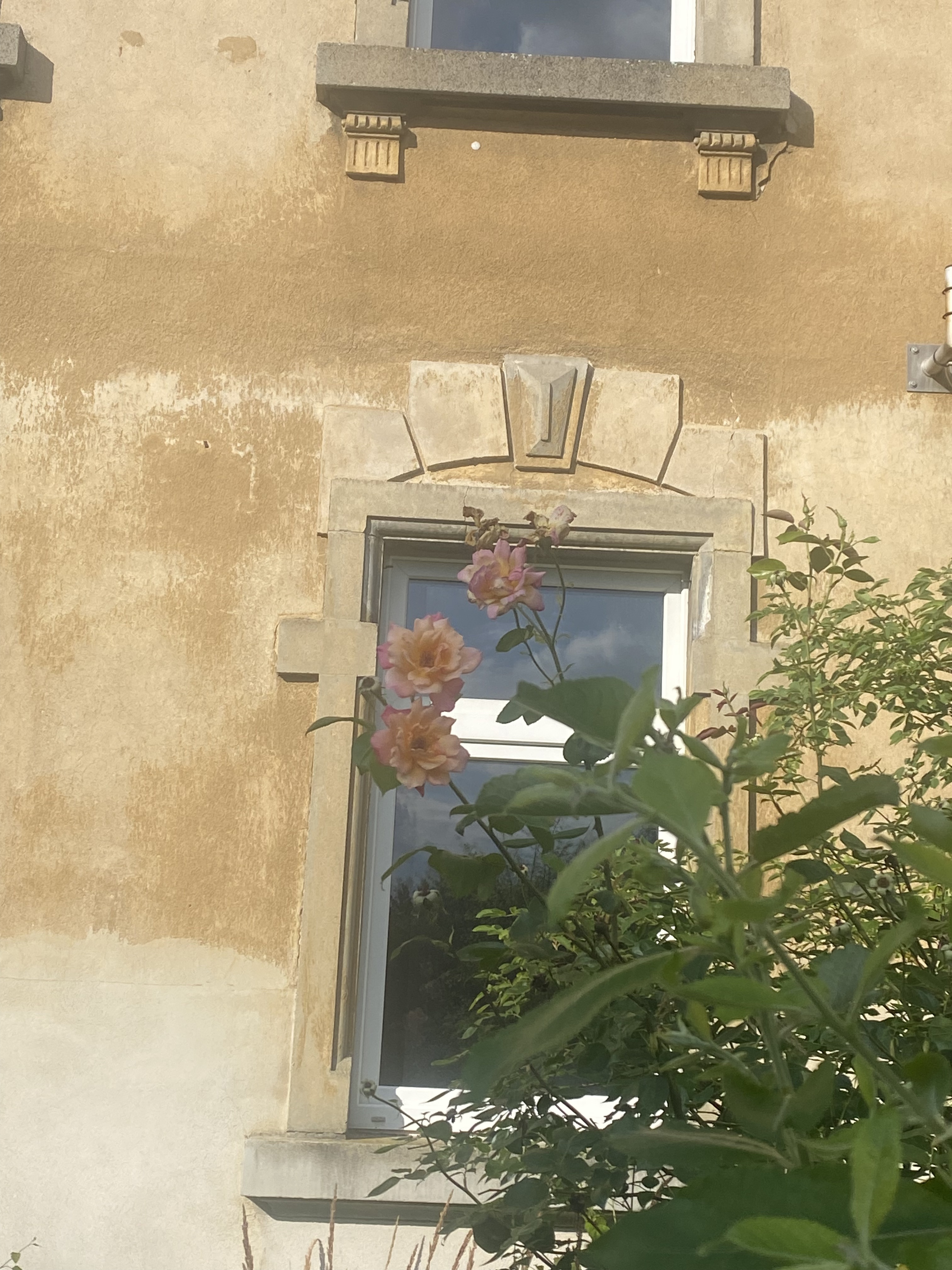 DDFD705E-8472-467F-8B9C-3958FFE47819