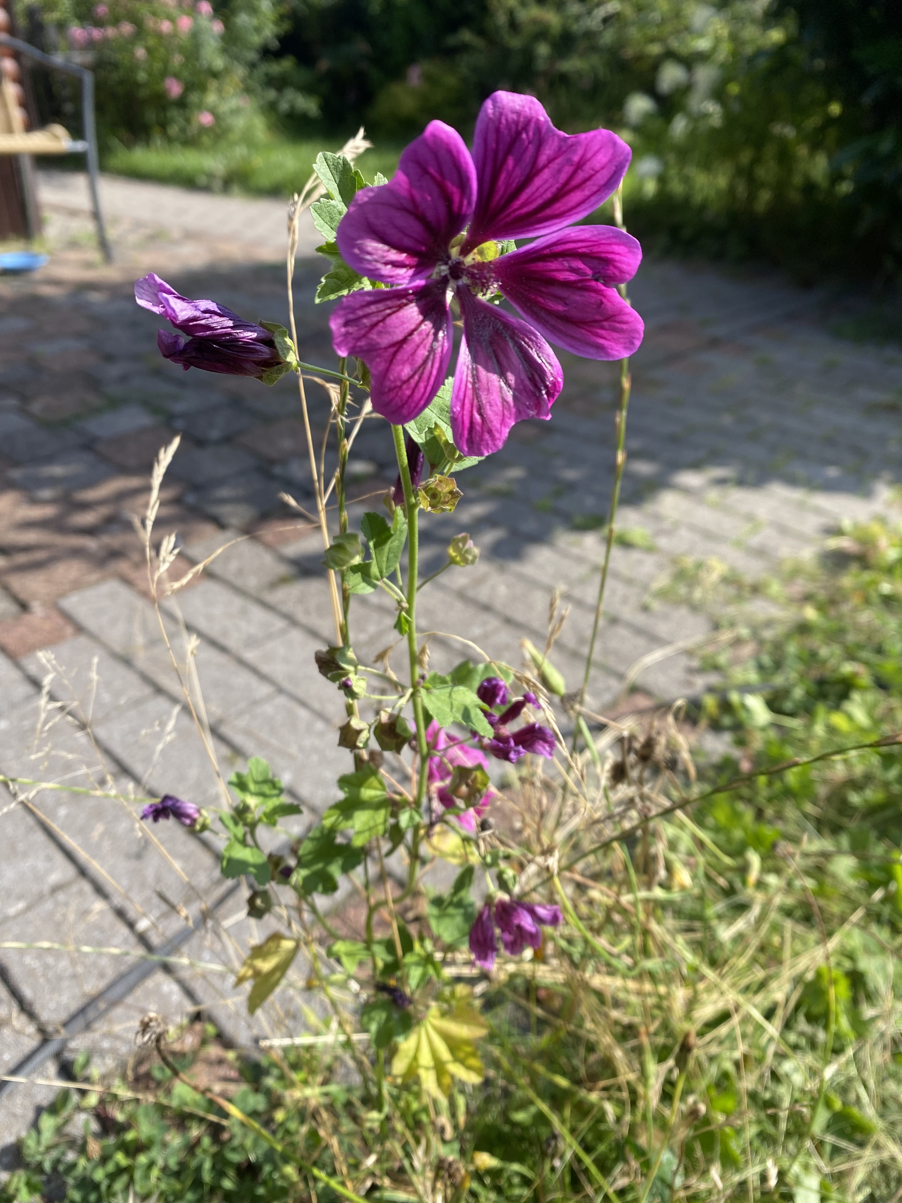 03628399-3811-4465-97BB-81BB90D92E4A