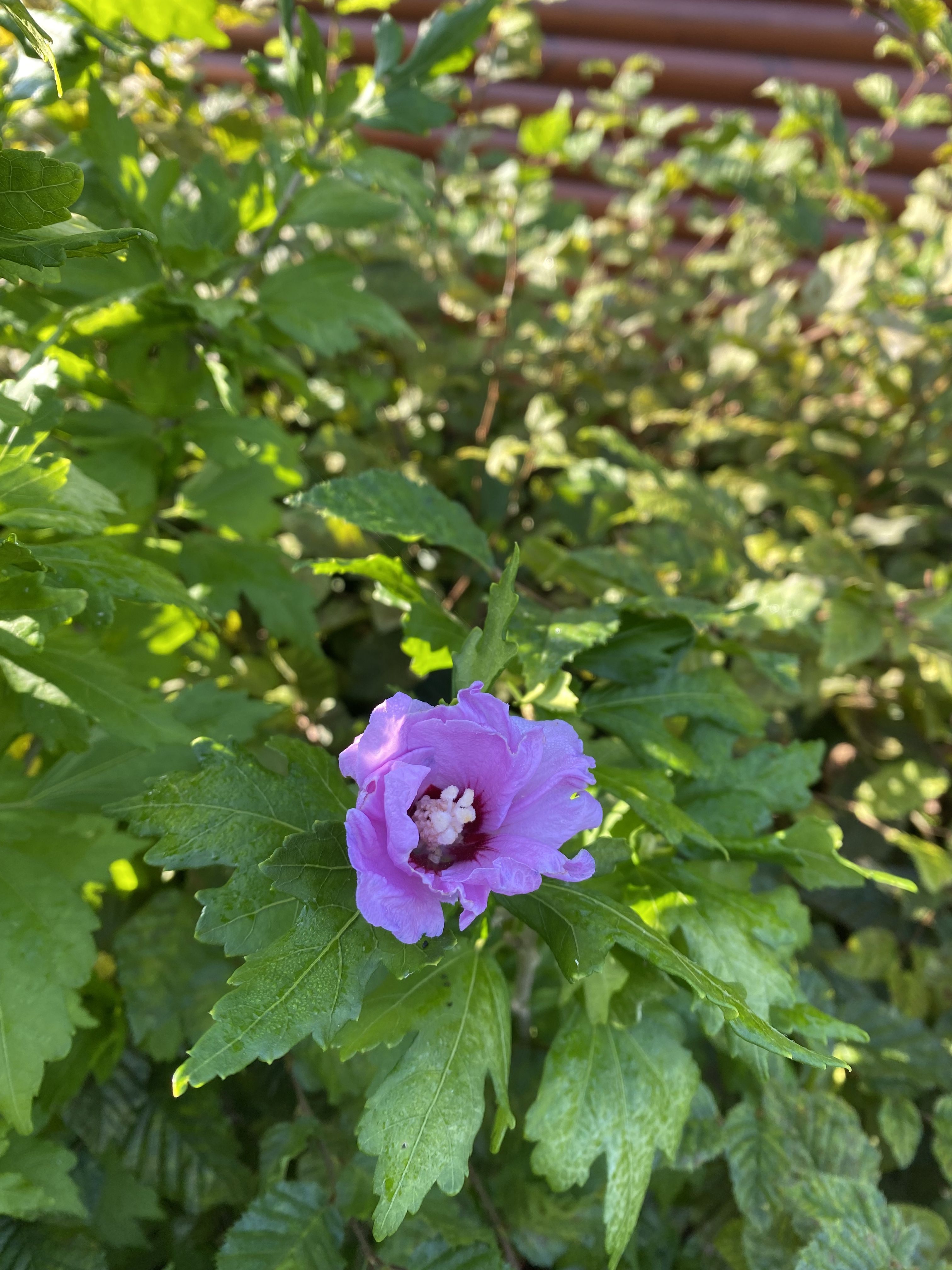 7DB89643-1478-4914-B437-A14D5F313C66