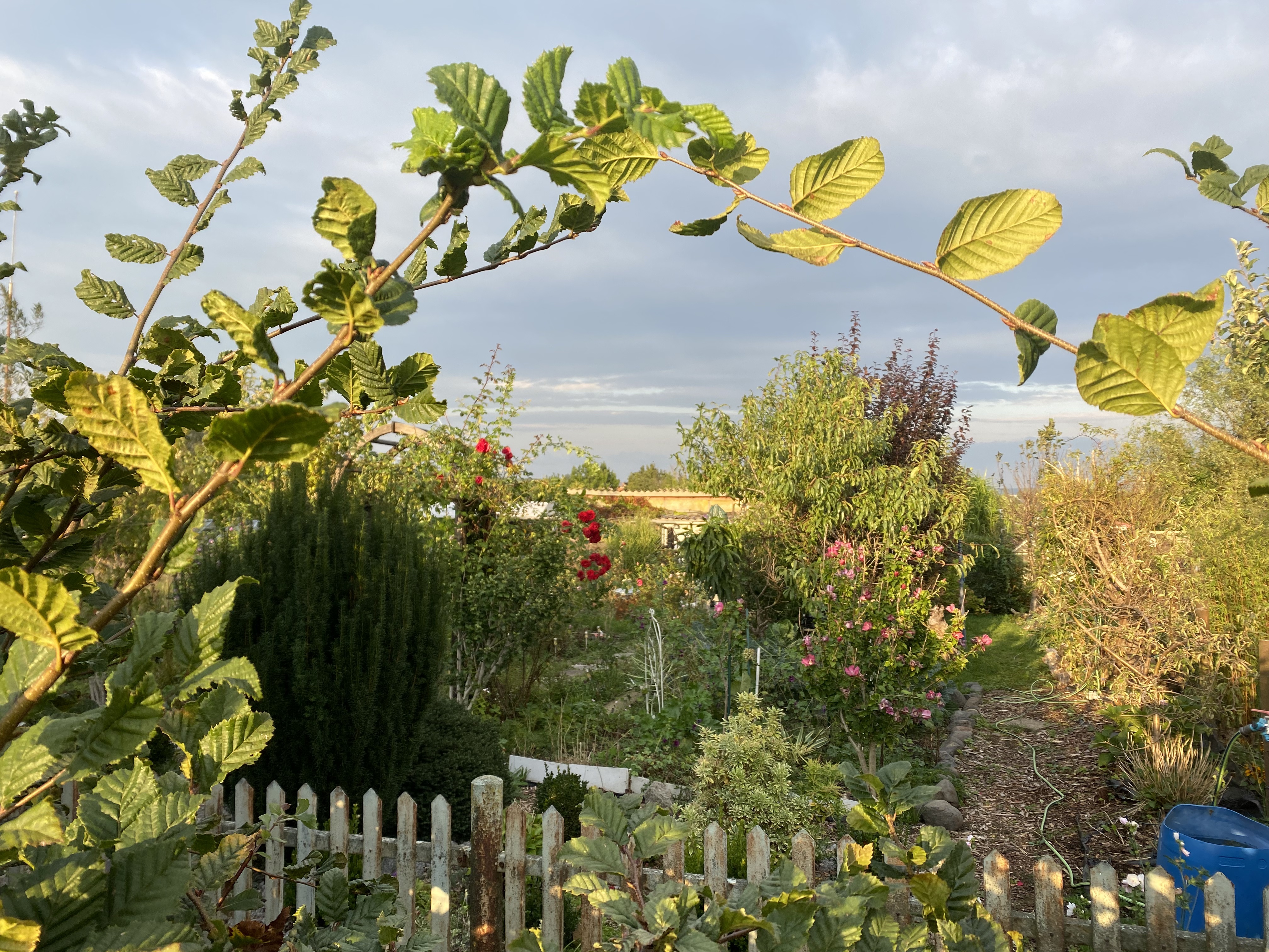 55097C2F-1338-4A30-A75E-CB661A728C7F