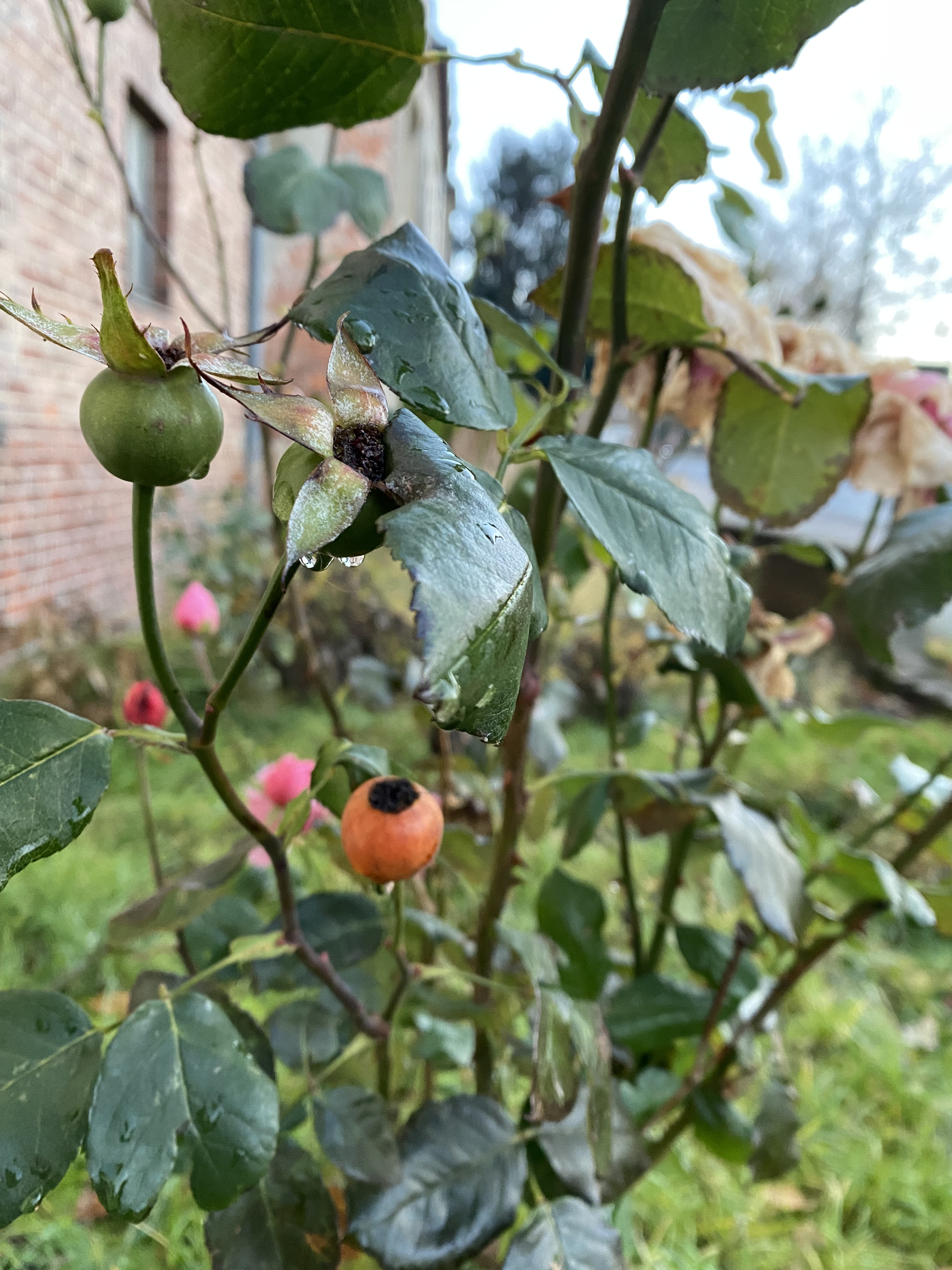 92AE6DBC-1FCB-4A6D-BAE2-C69519FA4C22